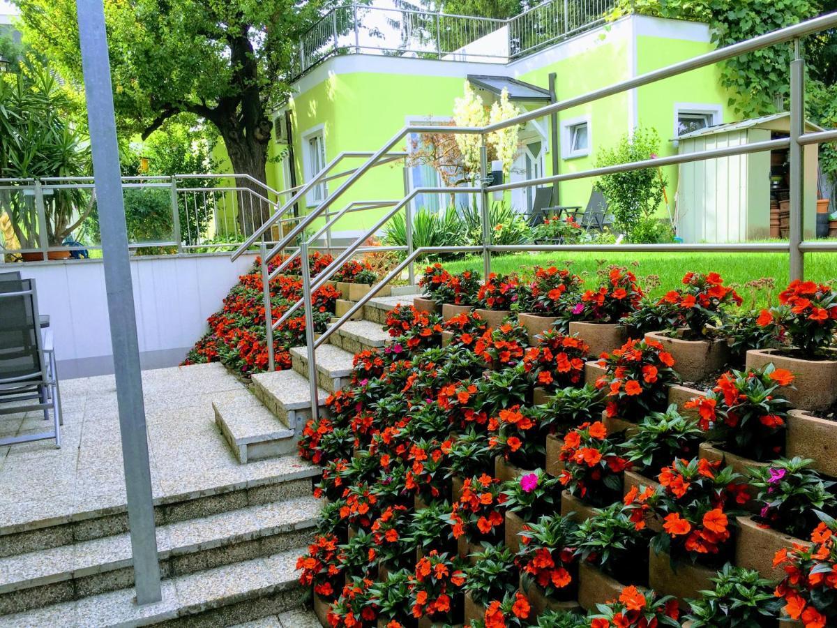 Ajo Garden Terrace Studio Apartments - Self-Check-In וינה מראה חיצוני תמונה